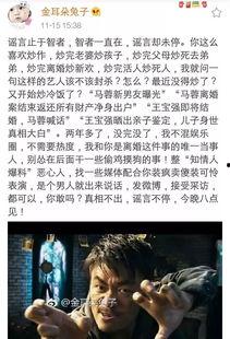 马蓉陈思诚爆料视频,揭秘娱乐圈背后的惊人真相  第2张